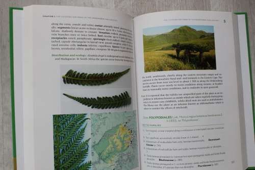 The lycopods and ferns of the Drakensberg and Lesotho - Roux