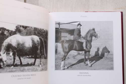 The Arabian Horse and Its Influence in South Africa - Charmaine Grobbelaar