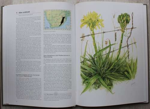 GRASS ALOES IN THE SOUTH AFRICAN VELD - Charles Craib