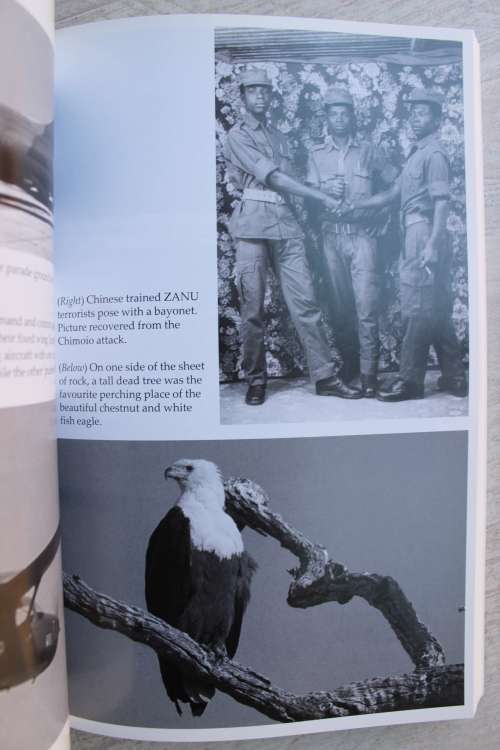SAS Action in Africa: Terrorists, Poachers and Civil War C Squadron Operations: 19681980 - Michael