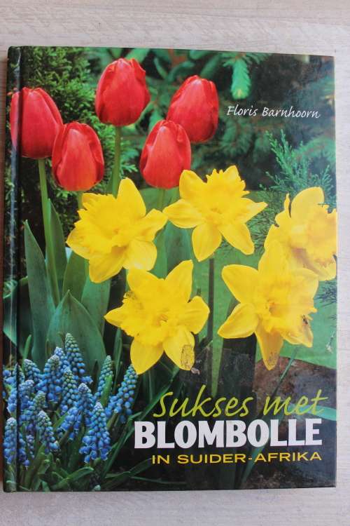 Sukses met blombolle in Suider-Afrika  - Barnhoorn