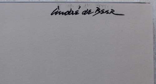 Andre de Beer - Master of colour and line