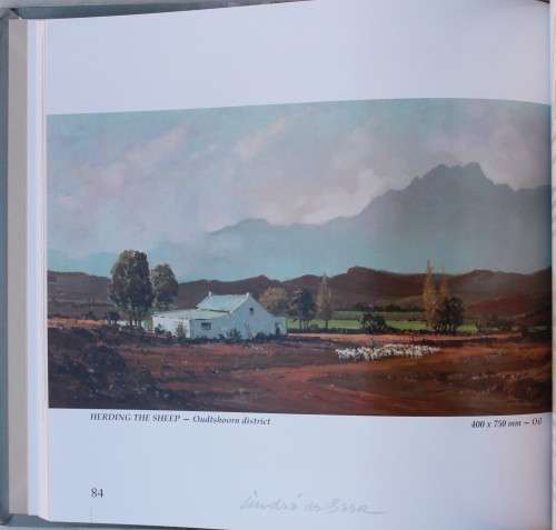 Andre de Beer - Master of colour and line