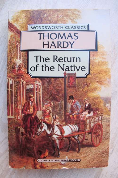 The Return of the Native - Thomas Hardy