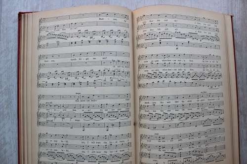 The Lily of Killarney - an opera in three acts by Julius Benedict.