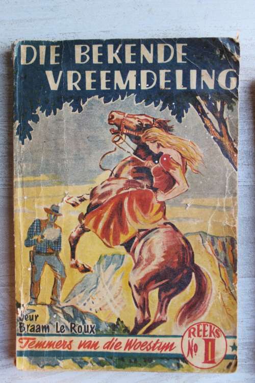 Die bekende vreemdeling - Temmers van die woestyn - Braam le Roux