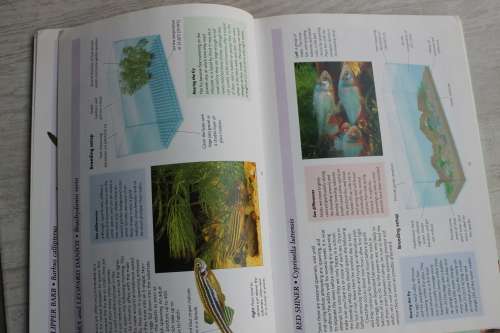 Practical guide to breeding your freshwater fish - Lambert