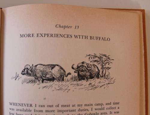 Always lightly tread. E. Cronje Wilmot, illustrated by CT Astley Maberly
