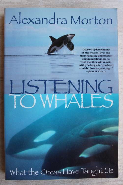 Listening to Whales - Morton