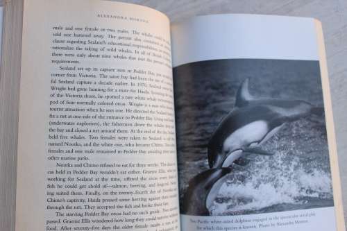 Listening to Whales - Morton