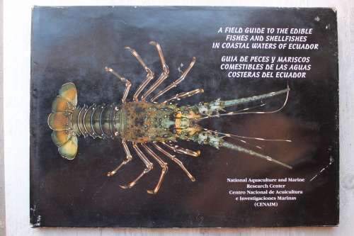 Field guide to the edible fishes and shellfishes in coastal waters of Ecuador