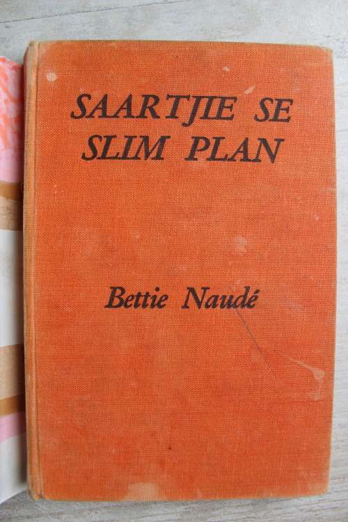 Saartjie se slim plan - Bettie Naude