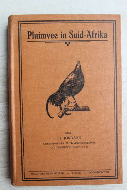 Pluimvee in Suid-Afrika - Jordaan