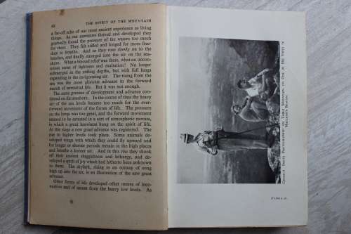 Plans for a better world The Speeches of  Jan Smuts
