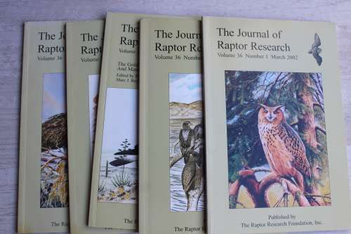 Journal of Raptor Research x 5 volumes