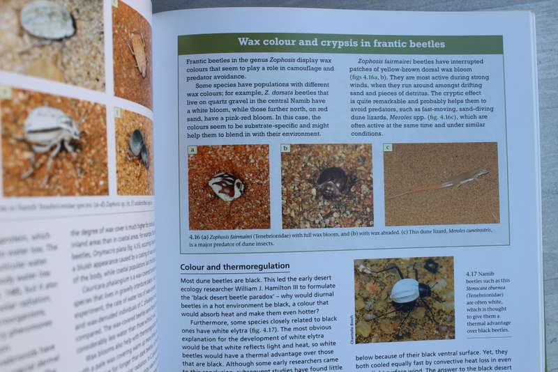 Pollinators, Predators & Parasites - The Ecological Roles Of Insects In Southern Africa
