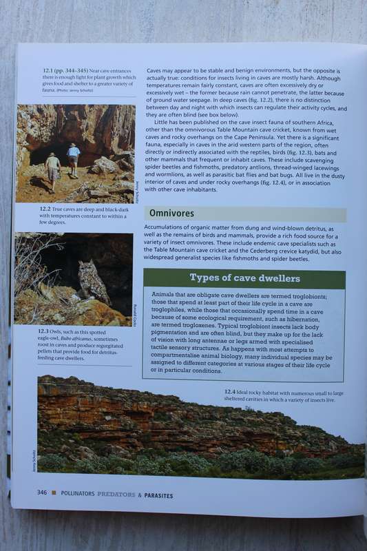 Pollinators, Predators & Parasites - The Ecological Roles Of Insects In Southern Africa