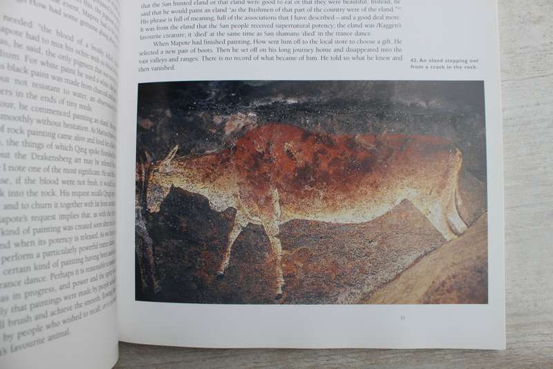 Images of Mystery by David Lewis-Williams | Rock Art of the Drakensberg