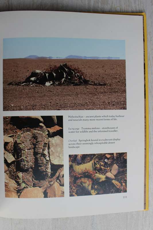Kaokoveld The Last Wilderness by A.Hall-Martin-C. Walker and J. du P. Bothma