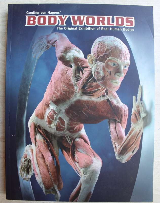 Body Worlds: The Original Exhibition of Real Human Bodies by Gunther von Hagen