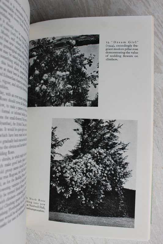 Climbing Roses Old and New -Graham Stuart Thomas