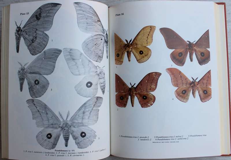 Emperor Moths of South and South-Central Africa - Elliott Pinhey