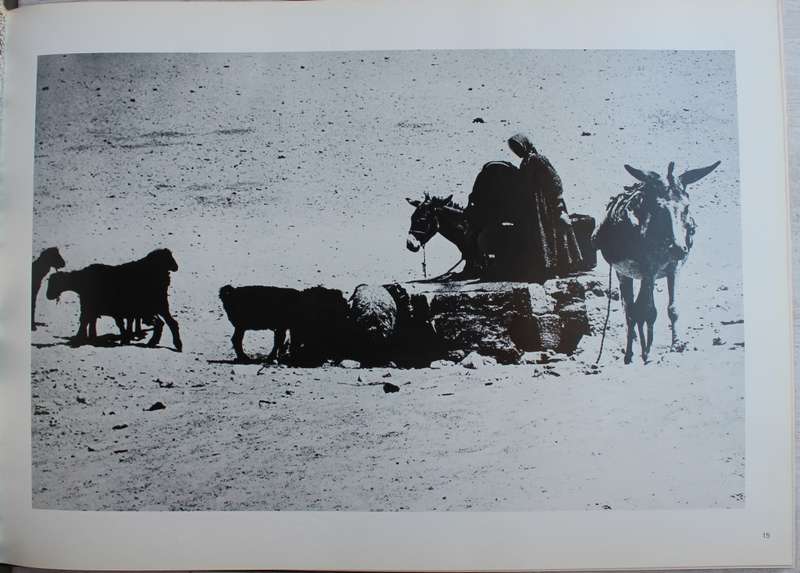 Images of my world - John Brett Cohen