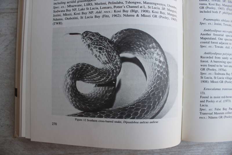 Studies on the Ecology of Maputaland Ed. M. N. Bruton and K. H. Cooper