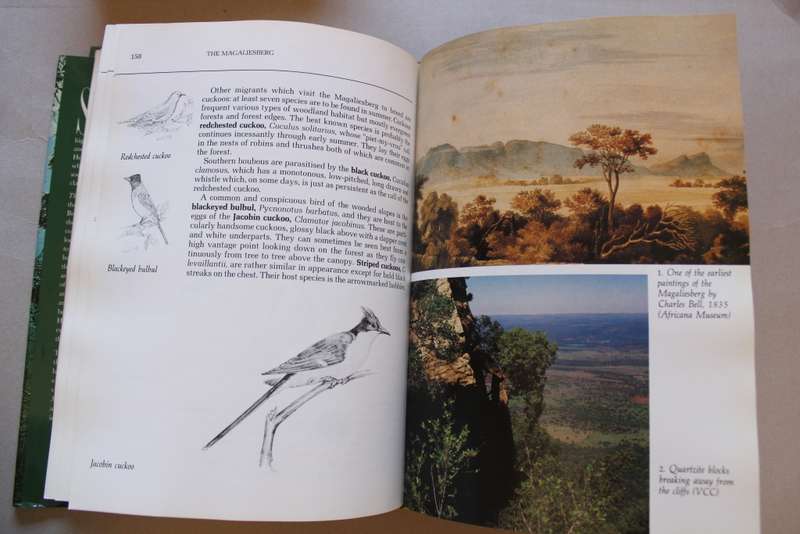 The Magaliesberg - Vincent Carruthers