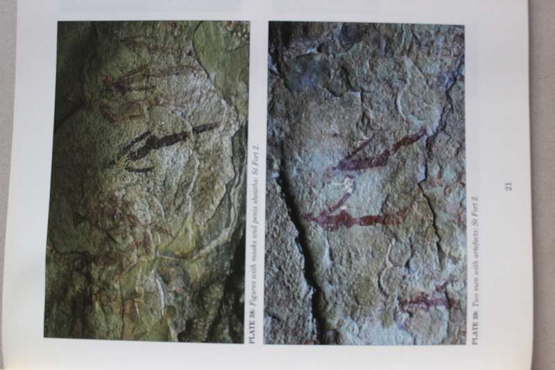 The Rock Art of the Golden Gate and Clarens Districts. An Enthusiast`s Guide  - Woodhouse...