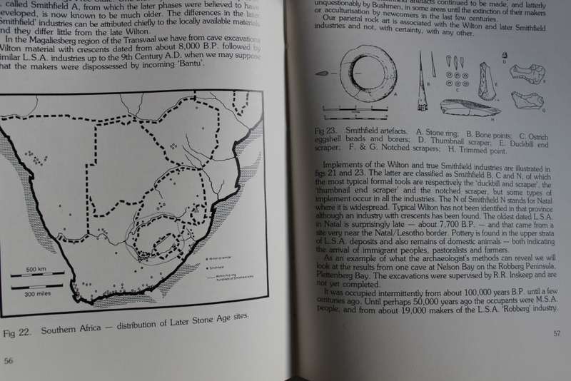 Footprints on a Southern Land - Wilcox