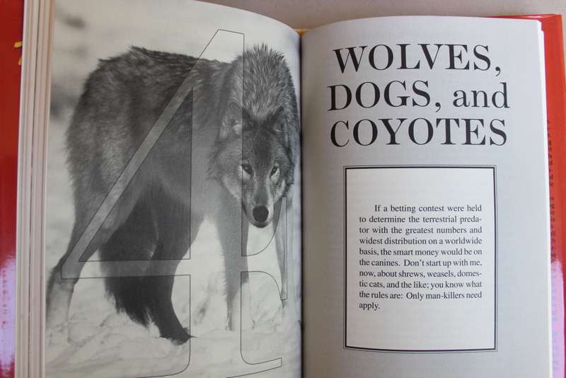 American Man-Killers: True Stories of a Dangerous Wilderness