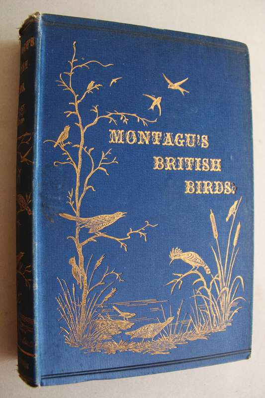 A Dictionary of British Birds. Montagu`s British Birds