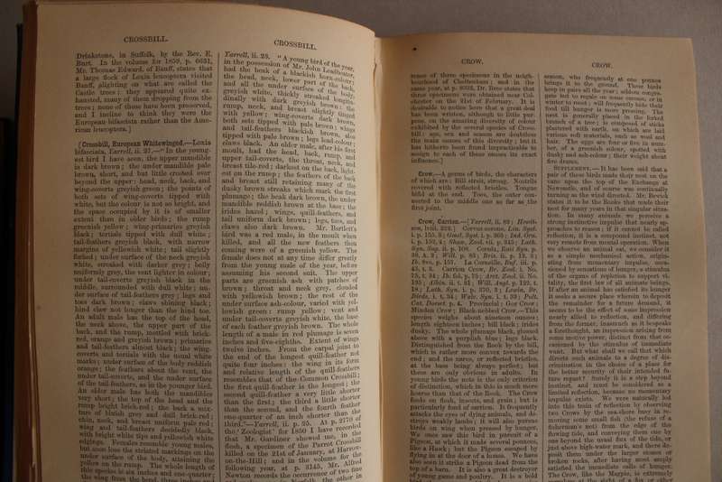 A Dictionary of British Birds. Montagu`s British Birds