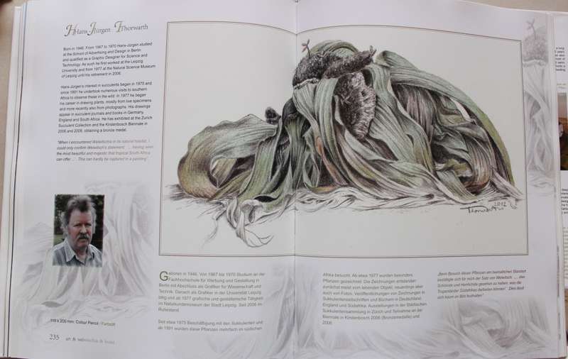 Welwitschia Mirabilis - Uncrowned Monarch of the Namib