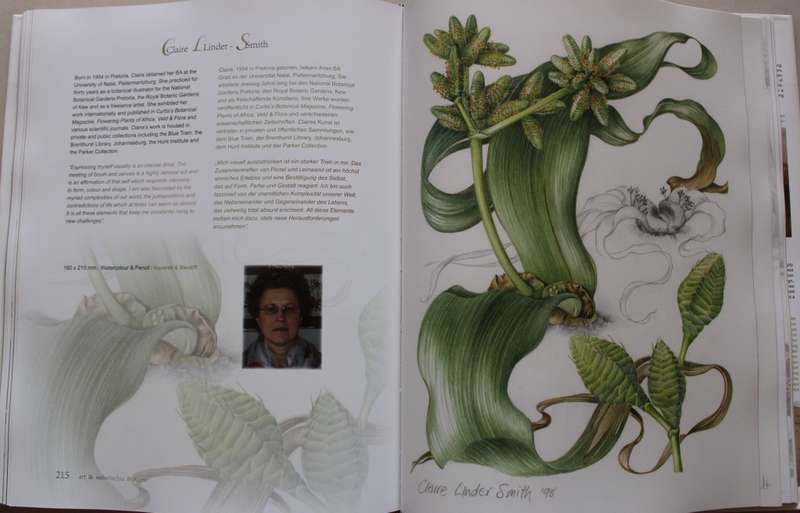 Welwitschia Mirabilis - Uncrowned Monarch of the Namib