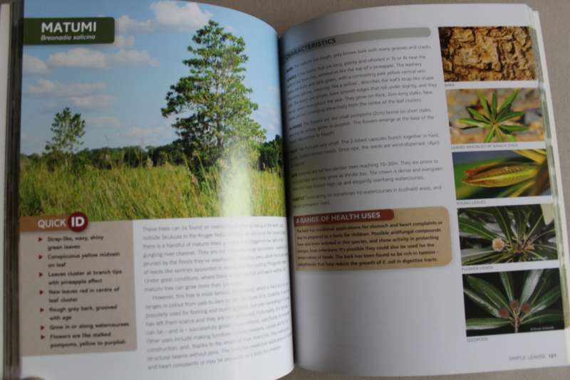 100 Bushveld Trees - Megan Emmett Parker
