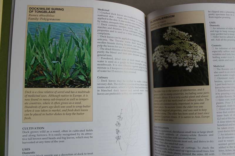 A-Z of Herbs  - Margaret Roberts