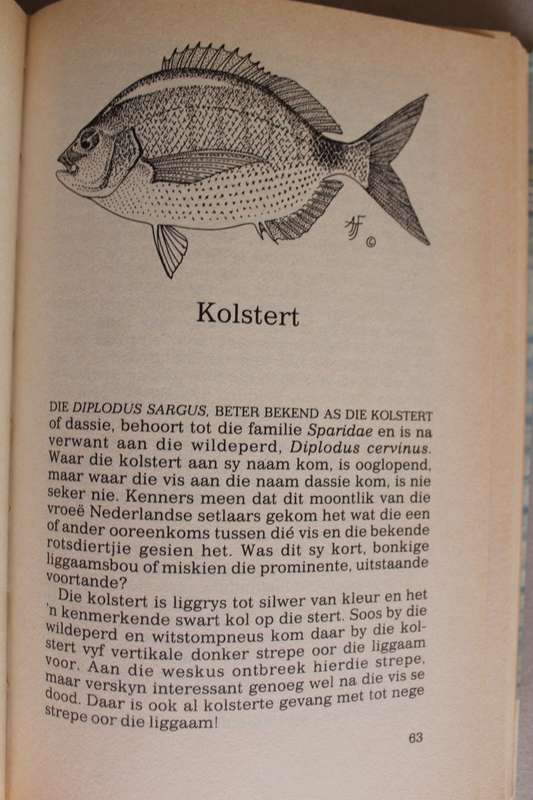 50 Hengelvisse van die Suid-Afrikaanse kus  - Van den Berg