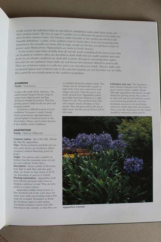 Growing Bulbs in Southern Africa - Floris Barnhoorn