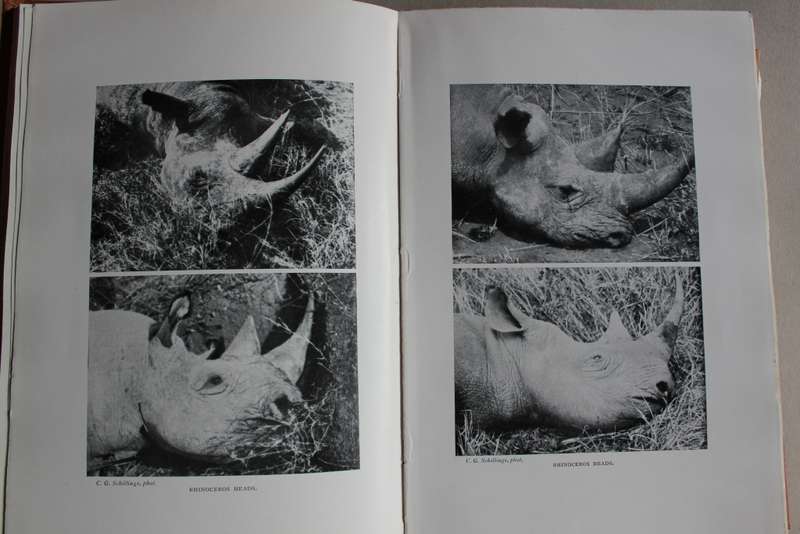 In Wildest Africa -2 volumes - Schillings