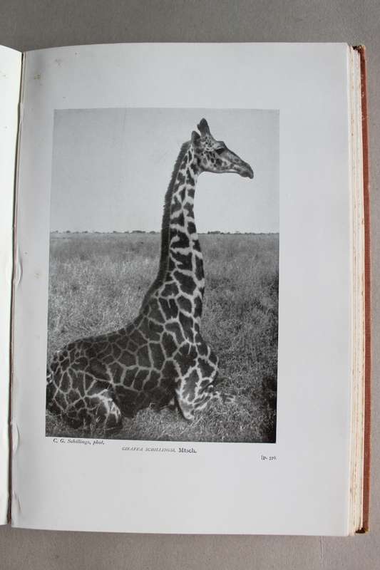 In Wildest Africa -2 volumes - Schillings