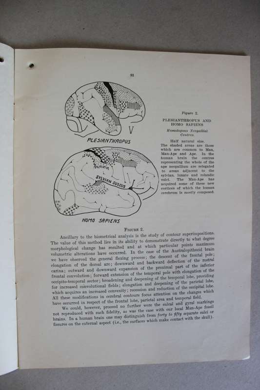 THE SOUTH AFRICAN ARCHAEOLOGICAL BULLETIN volume 6 number 15 - September 1949