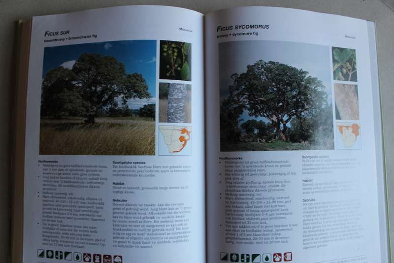 Fotogids tot Bome van Suider-Afrika - Van Wyk