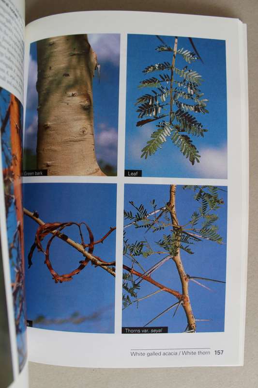 Field Guide to the Acacias of east Africa - Dharani