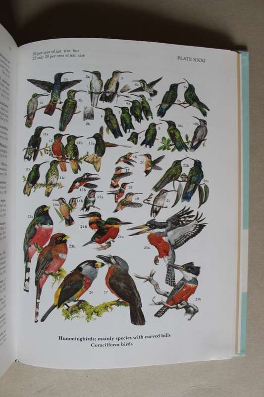 Birds of the High Andes - Fjeldsa & Krabbe