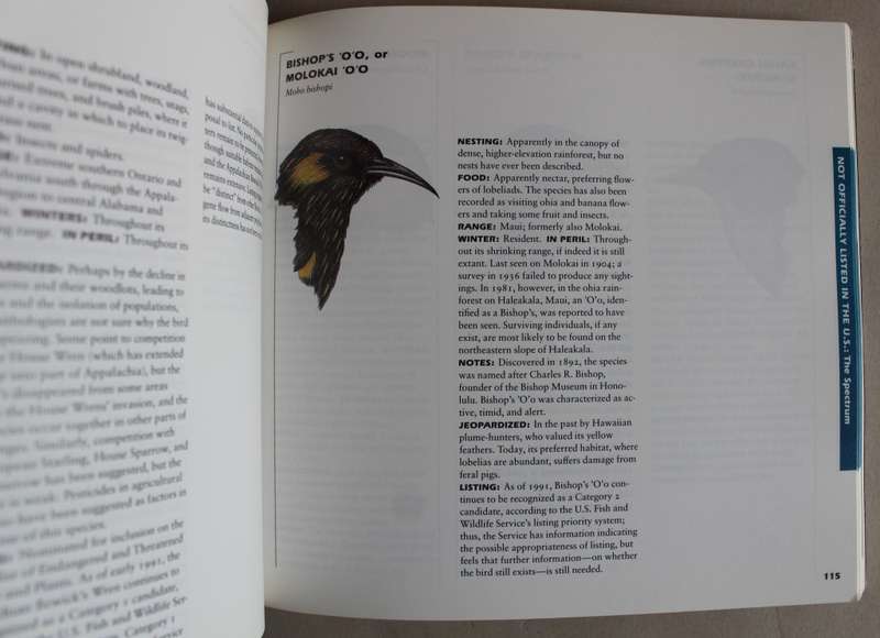 Birds in Jeopardy - Ehrlich, Dobkin & Wheye