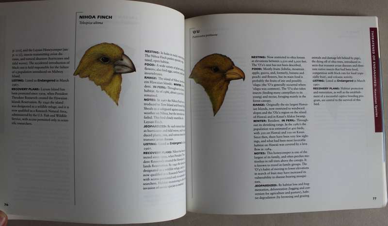 Birds in Jeopardy - Ehrlich, Dobkin & Wheye