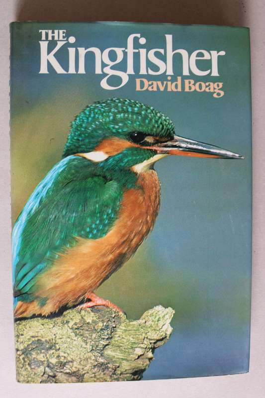 The Kingfisher - David Boag