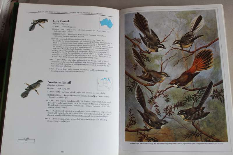 What bird is that? / Neville William Cayley